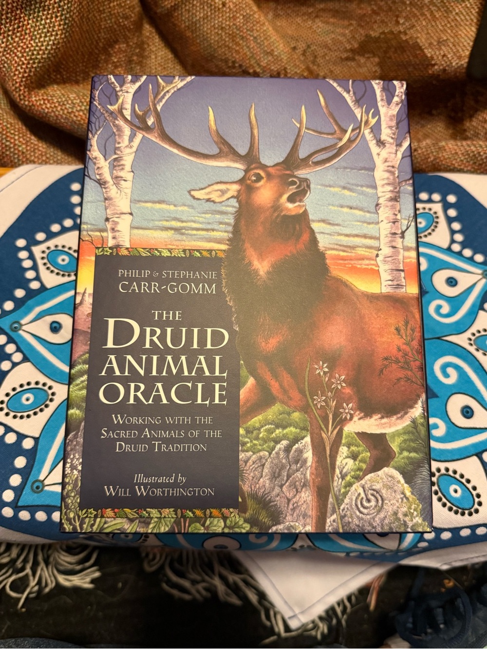 Druid Animal Oracle Deck - by Phillip Carr-Gomm